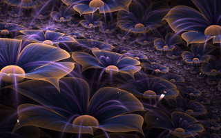 Flower sky fractals generative mandelbrot - benoit b. mandelbrot free wallpaper for desktop