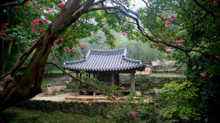 Small building park nature flowers - a small pond free wallpaper