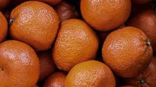 Oranges pile table white background - a black border free wallpaper