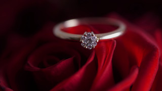 Diamond ring red rose petals - dennis ashbaugh free wallpaper for desktop
