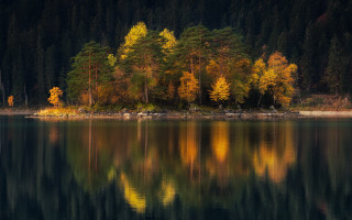 Lake forest autumn leaves impressionist - a few yellow leaf free wallpaper
