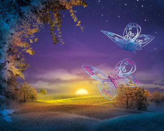 Butterflies flying field night sunset - two butterfly free wallpaper