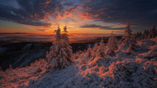 Sunset snowy mountain trees clouds 7 - a sunset over a snowy mountain free wallpaper