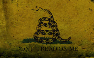 Snake sign dont tread american - high resolution free wallpaper