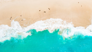 Beach wave people ocean silhouette - the sand free wallpaper