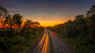 Highway sunset trees plane autumn - overhead free wallpaper