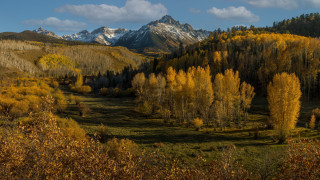 Mountain range forest snow capped - a forest of trees free wallpaper