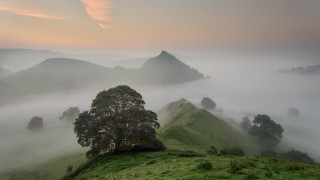 Foggy mountain tree hills forest - a few hill free wallpaper