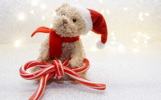 Teddy bear santa hat scarf - toy free wallpaper