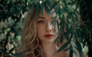 Blue eyes woman branch leaves - leaf free wallpaper