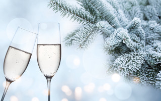 Champagne flutes christmas branch snow - a stock photo free wallpaper