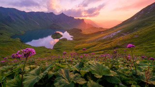 Mountain lake flower sunset pink - beautiful free wallpaper for desktop