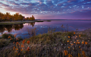 Lake trees purple sky autumn - a few bush free wallpaper