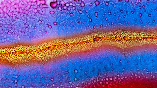 Colorful hydrangea water drops macro - drop of water free wallpaper