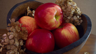 Bowl apples nuts leafy branch - fall vibrancy free wallpaper