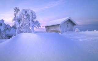 Snowy hill cabin trees pink - small free wallpaper