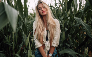 Woman cornfield serious blonde nature - serious free wallpaper for desktop