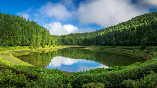 Lake forest blue sky clouds - beautiful landscape free wallpaper