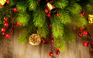 Pine cone berries christmas tree - a pine cone free wallpaper
