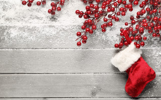 Christmas stocking berries snow wooden - a branch of a tree free wallpaper