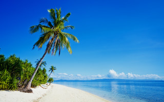 Palm beach blue sky water - a boat in the foreground free wallpaper
