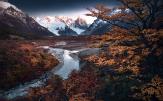 River forest mountains autumn campfire - a lush green forest under a cloudy sky free wallpaper