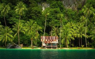 Island palm trees tiltshift urea - a small island free wallpaper