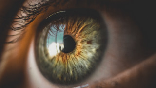 Eye green iris blue sky - macro len free wallpaper