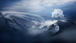 Tree mountain sky clouds lake - top of a mountain free wallpaper