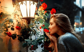 Romantic rose smelling woman lamp - a rose free wallpaper