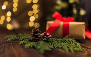 Present box red ribbon pine 2 - present free wallpaper