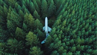 Plane over forest with trees - art free wallpaper for desktop