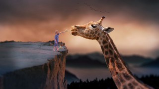 Giraffe cliff person bird sunset - surreal photography free wallpaper