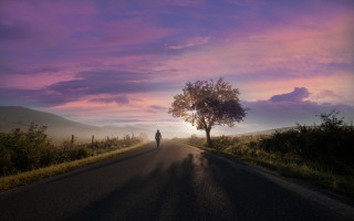 Lone person road sunset purple - a purple sky free wallpaper