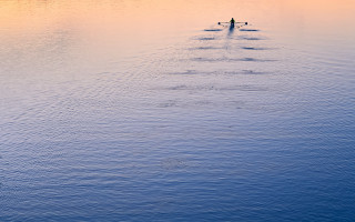 Lake sunset rowing boat tranquil - the boat free wallpaper