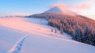 Snowy mountain trail trees city - bela čikoš sesija free wallpaper
