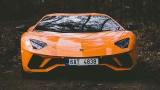 Yellow lamb car forest license - orange free wallpaper