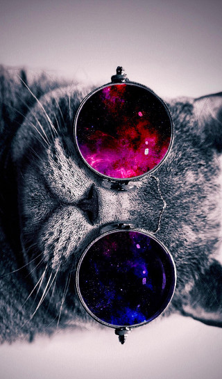 Cat closed eyes sunglasses space - space art free wallpaper