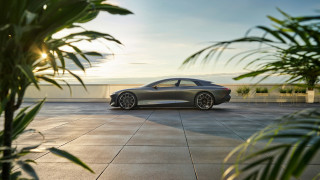 Silver sports car plant sky - fan qi free wallpaper