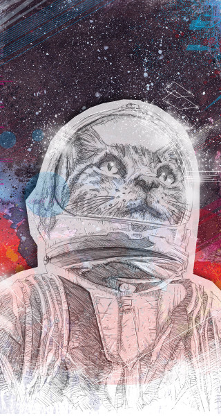 Space cat spacesuit astronaut planet - free sci-fi wallpaper