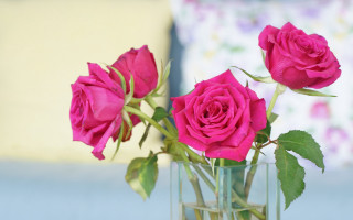 Pink roses vase bouquet bed - anne dunn free wallpaper