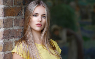 Blonde woman brick wall serious - a brick wall free wallpaper