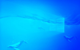 Blue room window curtain fish - a blue room free wallpaper
