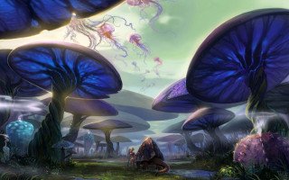 Blue forest mushrooms woman bench - a bench in the middle free wallpaper