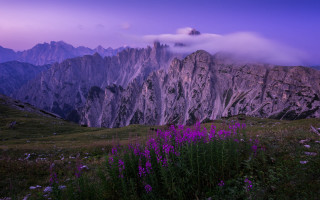 Mountain range purple sky flower - mystical free wallpaper