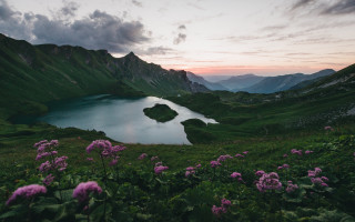 Lake mountains flowers sunset clouds 2 - a few pink flower free wallpaper