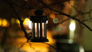 Lantern hanging tree night bokeh - free light wallpaper