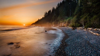 Beach sunset trees water matte - alson s. clark free wallpaper