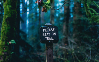 Trail sign woods nature dappled - a post free wallpaper