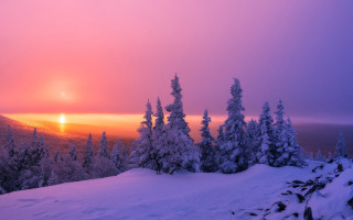 Sunset snowy mountain trees orange - a sunset over a snowy mountain free wallpaper